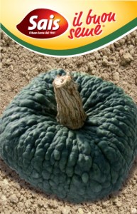 tekvica marina di chiggia